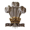 10th Royal Hussars