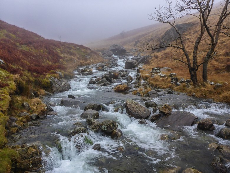 <<< Quote Ref: re15p_007 >>>