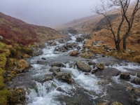 <<< Quote Ref: re14p_000 >>>